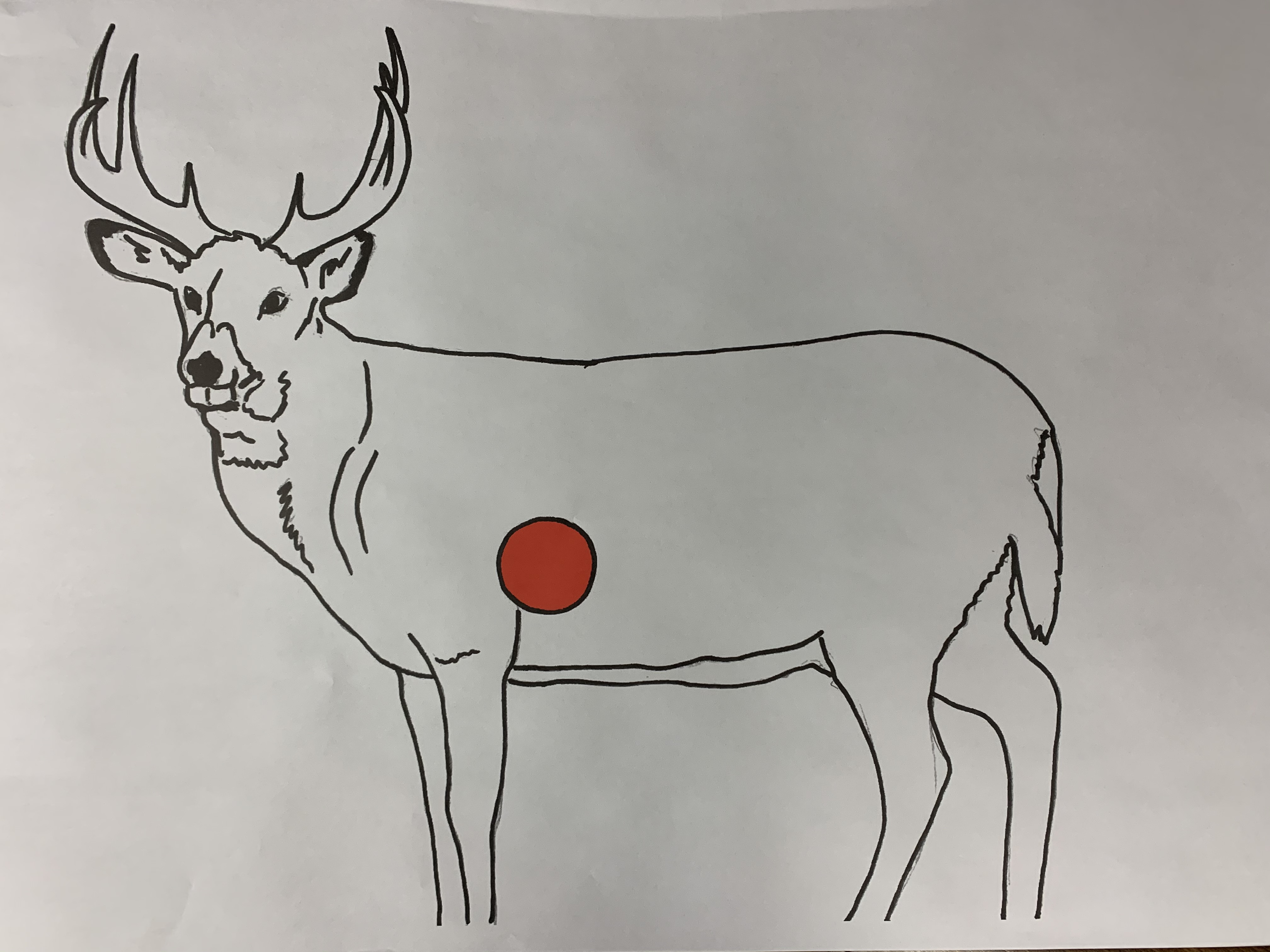 Deer Paper Target - 10 Pack