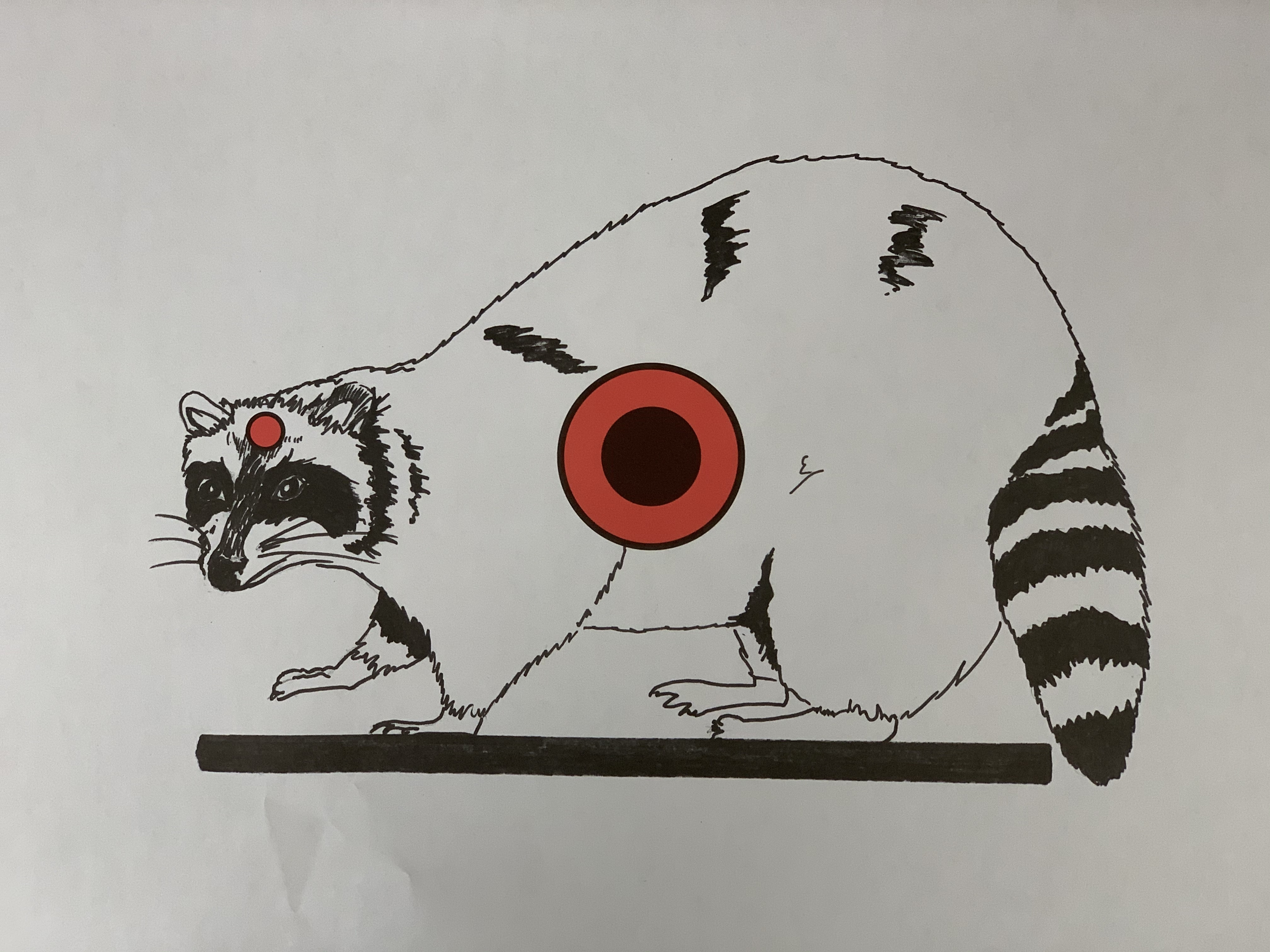 Raccoon Paper Target - 10 Pack